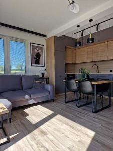 ein Wohnzimmer mit Couch und Küche in der Unterkunft Dom Choczewo Zielony Zakątek in Choczewo