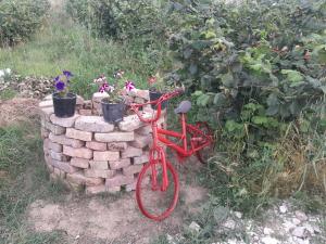a red bike parked next to a brick wall with flowers at Camping DRINO VALLEY in Gjirokastër