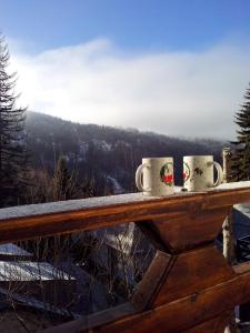 Kép Apartments Dviletov Kutak szállásáról Kopaonikban a galériában