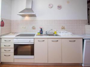 Kuchyň nebo kuchyňský kout v ubytování Apartments Bonic