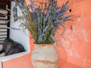 Fotografie z fotogalerie ubytování Apartments Bonic v destinaci Veli Lošinj