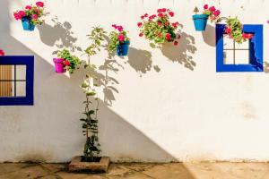 Casa Del Patio - Boutique Apartments外面的花园