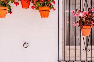 EsteponaCasa Del Patio - Boutique Apartments的相册照片