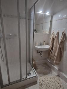 Ένα μπάνιο στο Ferienwohnung Funk +11 φωτογραφίες