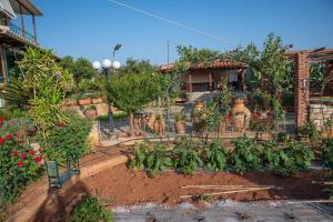 Zahrada ubytování VILLA ALOLEA