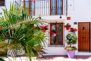 Casa Del Patio - Boutique Apartments外面的花园