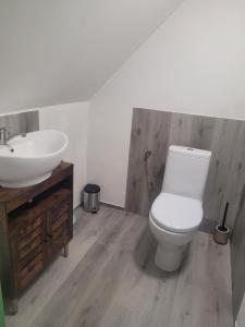 a bathroom with a white toilet and a sink at Ubytovanie na včelej farme in Polichno