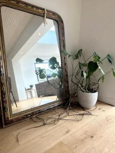 Fotografie z fotogalerie ubytování Grande Maison - Proche plages - Combrit Ste Marine v destinaci Combrit