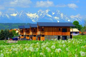 フラブシツェにあるApartmán E4 Hrabušiceの雪山を背景にした建物