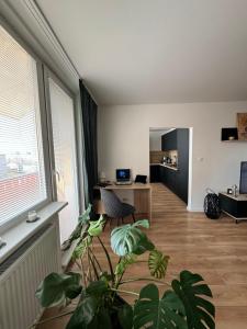 a living room with a plant in the middle at Modern Central Apartment in Nitra