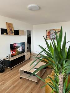 TV a/nebo společenská místnost v ubytování Modern Central Apartment
