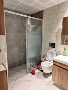 a bathroom with a shower and a toilet and a sink at Aydere Apart Hotel in Ayder Yaylasi +28 photos