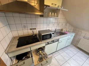 a kitchen with a sink and a microwave at Ferienunterkunft Monteurwohnung Hagenbach in Hagenbach +1 photo