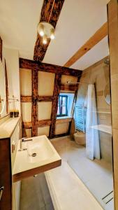 een badkamer met wastafel, douche en toilet bij Altes Zollhaus - Central - Lovely - Luxury - Maisonette Apartment in Schwabach +53 foto's