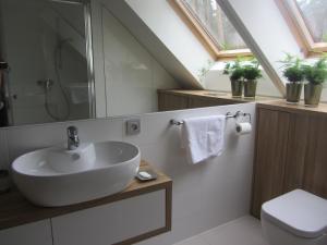 un bagno con lavandino, doccia e WC di Amadea a Łukęcin