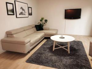 a living room with a couch and a table at 1 bedroom Copenhagen Designer Flat in Copenhagen