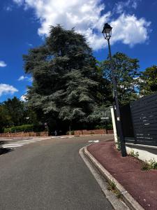 a street light on the side of a road with a tree at Logement proche gare et Versailles in Marly-le-Roi
