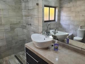 a bathroom with a sink and a toilet and a mirror at The Crooked Forest in Pretoria