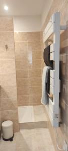 ein Bad mit einer Dusche, einem WC und Handtüchern in der Unterkunft Chez Camille appartement spacieux 75m2 climatisation wifi parking terrasse et cour privative a 50 m de la plage in Le Grau-du-Roi + 17 Fotos