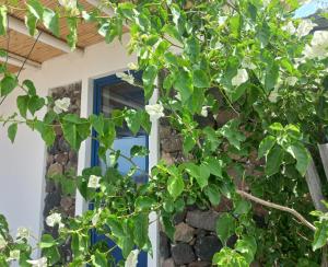 Fotografie z fotogalerie ubytování La casa blu deluxe v Lipari