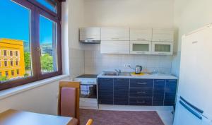 Η κουζίνα ή μικρή κουζίνα στο Apartment Luminos