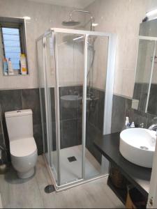 a bathroom with a shower and a toilet and a sink at Ole triana in Seville +35 photos