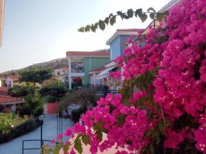 Vonkajšia záhrada v ubytovaní Porto Skala Village Hotel