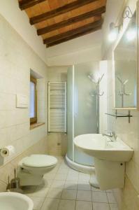 La salle de bains est pourvue de toilettes, d'un lavabo et d'une douche. dans l'établissement Case dei Fiori Residenza Storica, à Torrita di Siena