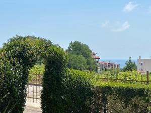 een heg voor een hek met een poort bij Apartament Savva in Byala