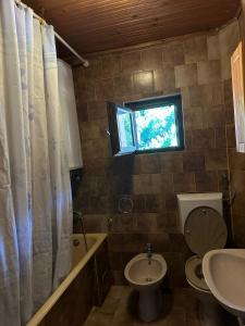 a bathroom with a toilet and a sink and a window at Apartmani VV in Cetinje