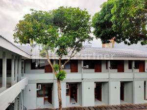 a tree in front of a white building at Saijaan Guesthouse UNEJ RedPartner in Jember