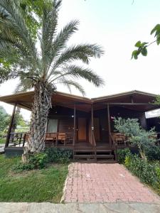 Zahrada ubytování Olympos Yavuz Hotel