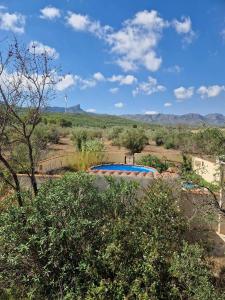 een zwembad in het midden van een veld met bomen bij Casa Burga in Perelló