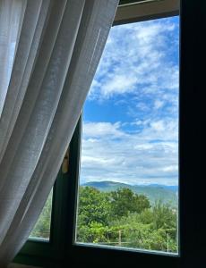 Příroda nedaleko hotelu