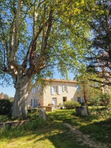 a large tree in front of a building at Ancien Mas Du Moulin in Eygalières
