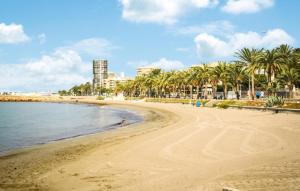 a beach with palm trees and the ocean at 3 Bedroom Nice Apartment In Santa Pola in Santa Pola