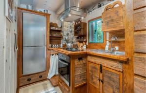 Η κουζίνα ή μικρή κουζίνα στο 2 Bedroom Amazing Home In Delnice