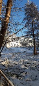 a snow covered field with trees and a building at Boliken Berg und Eich Sahl in Lübow