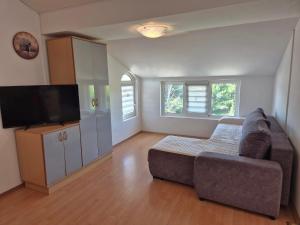 a living room with a couch and a flat screen tv at Apartments Velinka in Rab