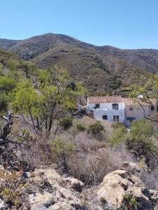 Kép Cortijo tranquilo, Albanchez, Almeria Province szállásáról Albánchez városában a galériában