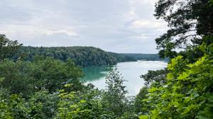 a view of a lake through the trees at Calm garden Suite near Green Lakes in Vilnius