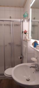 a bathroom with a shower and a white sink at Ferienwohnung Kleine Kegelrobbe (mit Pool) in Burhave