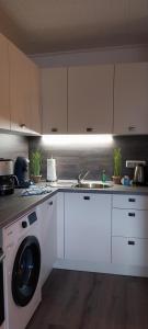 a kitchen with a washing machine and a sink at Ferienwohnung Kleine Kegelrobbe (mit Pool) in Burhave +30 photos