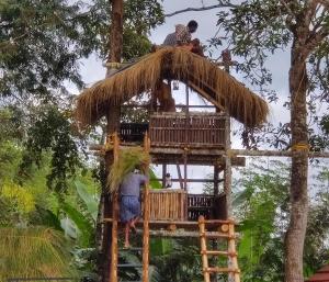 Hosté ubytování Wayanad Kuruva Isles Jungle Resort