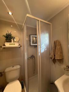 a bathroom with a shower and a toilet and a sink at Villa Terrina in Áyioi Apóstoloi +19 photos