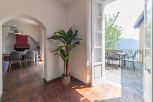 a living room with a potted plant and a table at Villa amazing lake view with jacuzzi, private garden and gym in Cernobbio