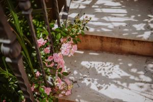 Zahrada ubytování Relais de Charme le Videlle