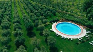Bazén v ubytování Relais de Charme le Videlle nebo v jeho okolí