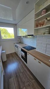 Η κουζίνα ή μικρή κουζίνα στο Apartmány Rudlová Glamour +17 φωτογραφίες