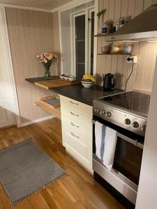 Kuchyň nebo kuchyňský kout v ubytování Charming Historic Home Your Ideal Tromsø Getaway + 24 fotografií